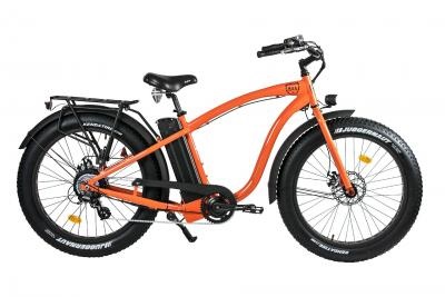 Beach Cruiser Fatbike